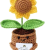 Crochet Flower Pot