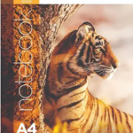 DOMS Notebook Single Line 300 Pages